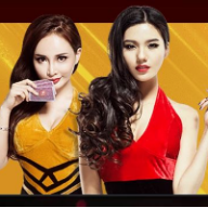 Photo du profil de l'utilisateur