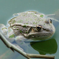 Photo du profil de l'utilisateur